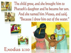Exodus 2:10